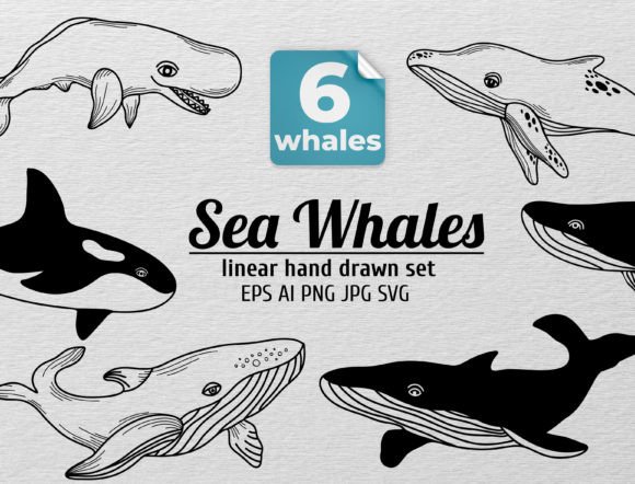 Download Cute Linear Ocean Whales Clipart - Premium Bundle