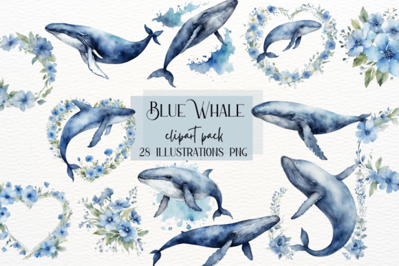 Download Watercolor Blue Whale, Ocean Whales - Whales Collection