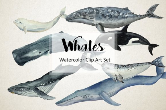 Download Whales - Watercolor Clip Art &amp; Print - Whales Collection