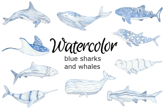 Download Blue Sharks and Whales Clipart - Whales Collection