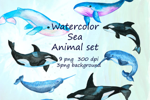 Download Watercolor Whales Sea Animals Fish Art - Whales Collection