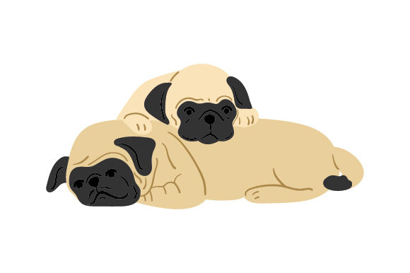 Download Pugs Cuddling - Cuddling Collection